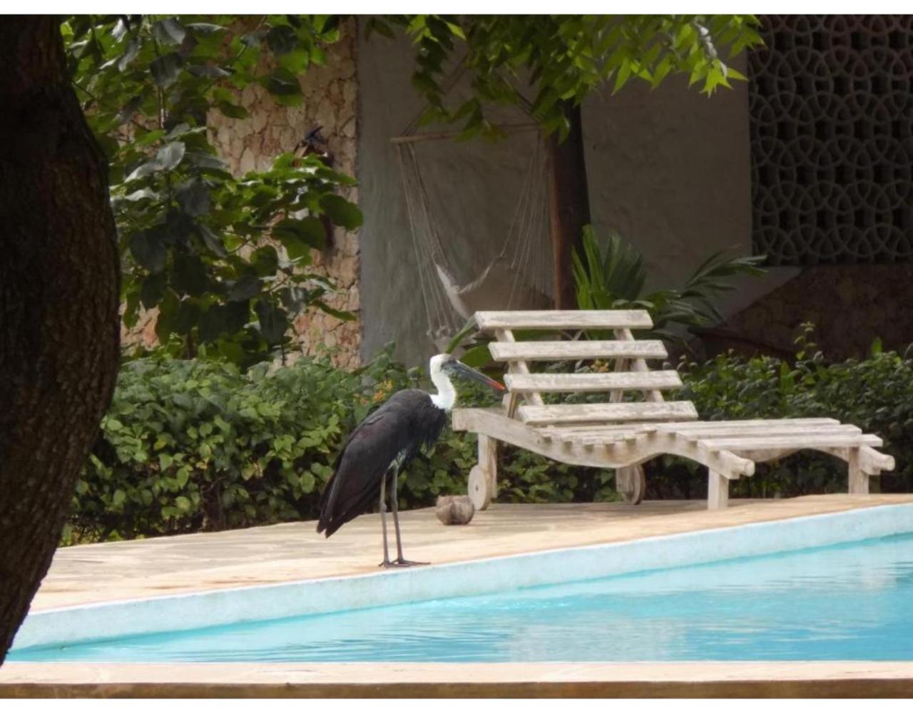 Eco Villas Watamu Exterior foto